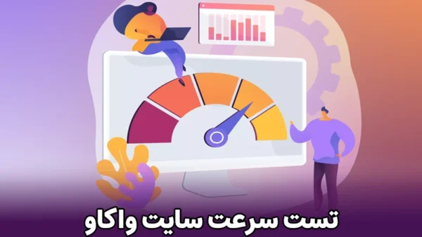 تست سرعت سایت واکاو