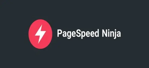 پلاگین بهینه سازی سرعت وردپس Pagespeed Ninja