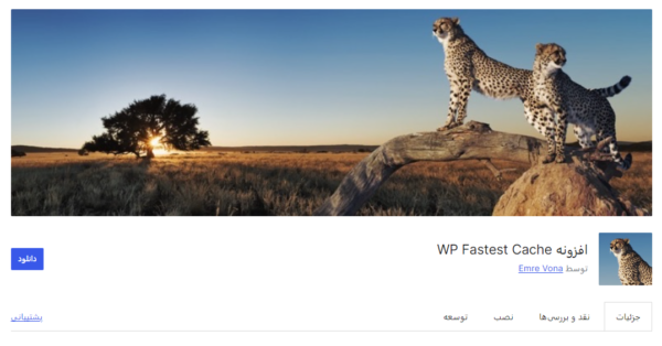 پلاگین بهینه سازی سرعت سایت WP Fastest Cache