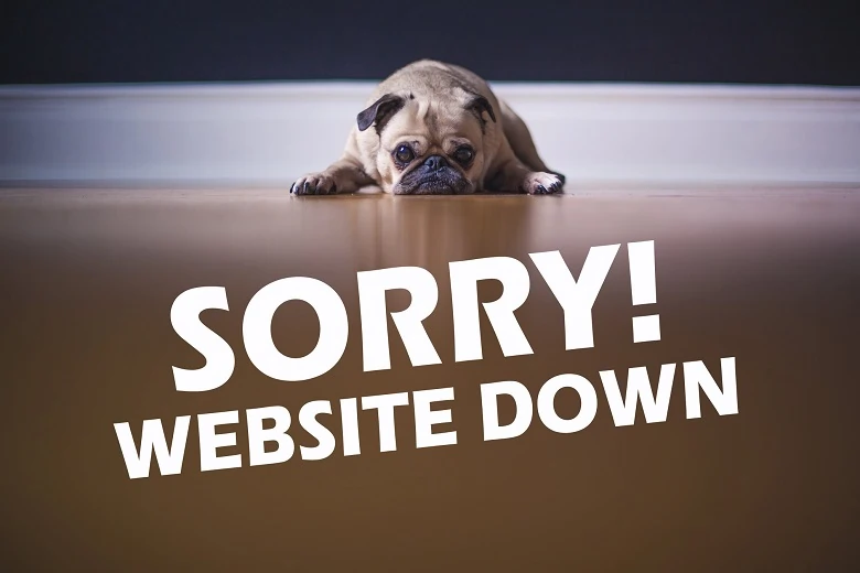 down شدن وبسایت