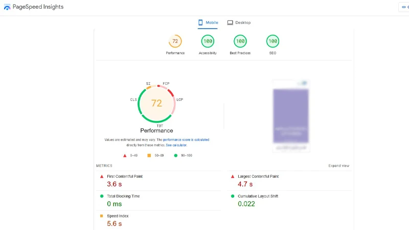 دریافت گزارش از سایت page speed insight
