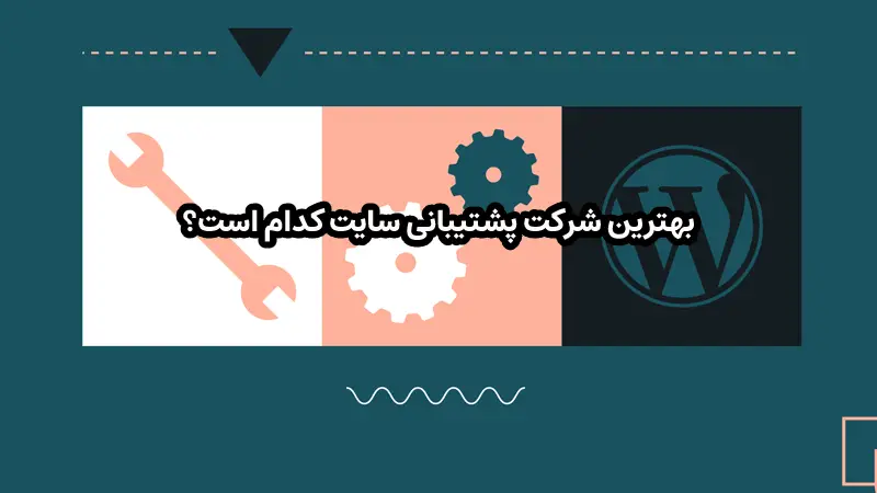 بهترین شرکت پشتیبانی سایت کدام است